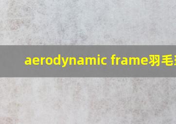 aerodynamic frame羽毛球拍